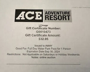 Ace Adventure Resort Water Park Pass