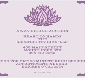 30 Minute Reiki Session